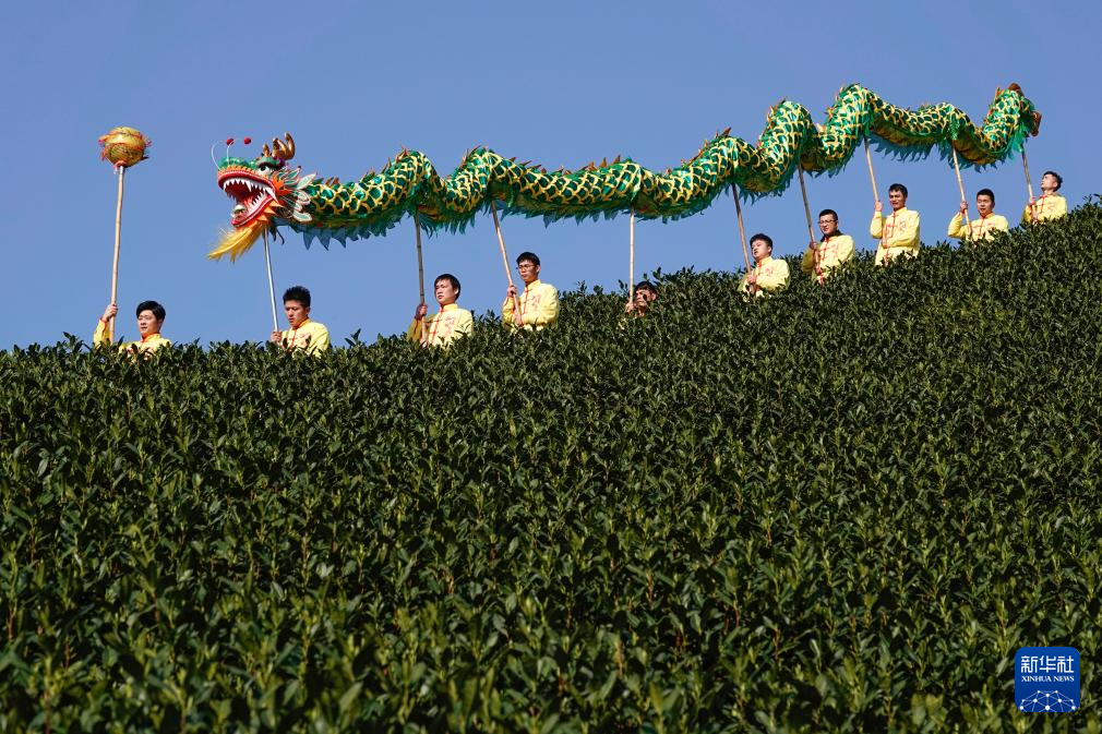 浙江杭州：茶鄉“喊山祈茶” 慶祝春茶開摘