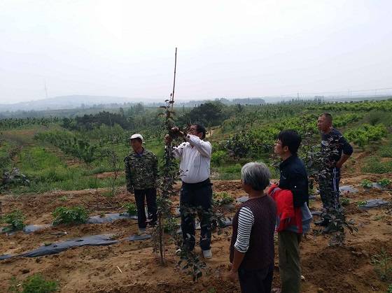 “互聯網+農業”—— 青島匯智泰助力水果種植産業鏈升級