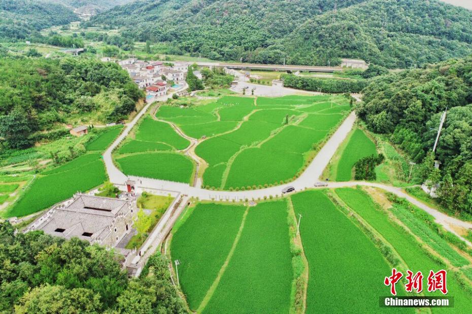 航拍江西省德安縣河東鄉後田袁家山自然村