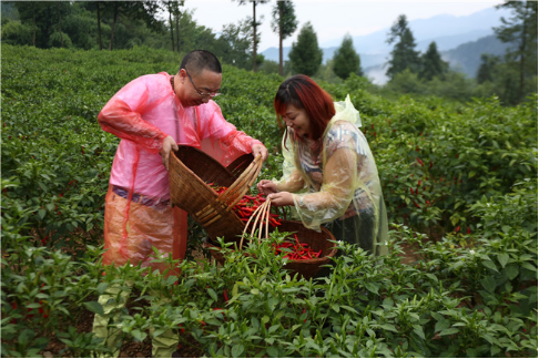 重慶美食文化新地標—“枇杷山86號”