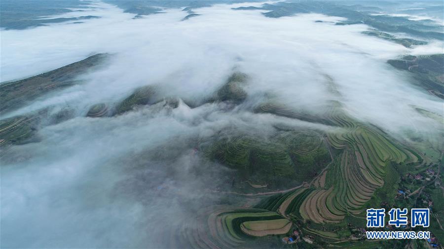 寧夏彭陽：最美旱作梯田 雲海宛如仙境