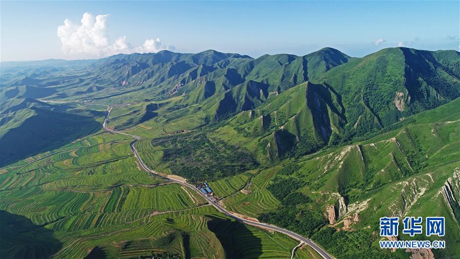 六盤山下 油菜花開扮靚美麗鄉村