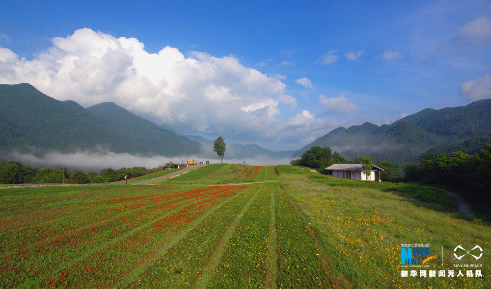 航拍重慶紅池壩夏日農忙 成山間獨特風景