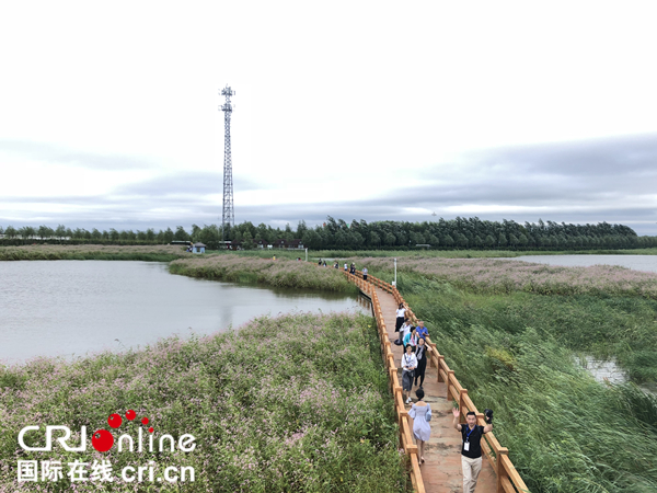 “2018美麗中國行”採訪團走進呼蘭河口濕地公園 樂賞萬頃蓮花