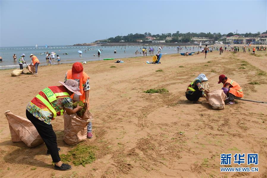 青島：海灘“美容師”