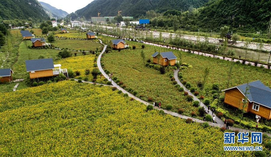 陜西洛南：鮮花木屋惹人醉