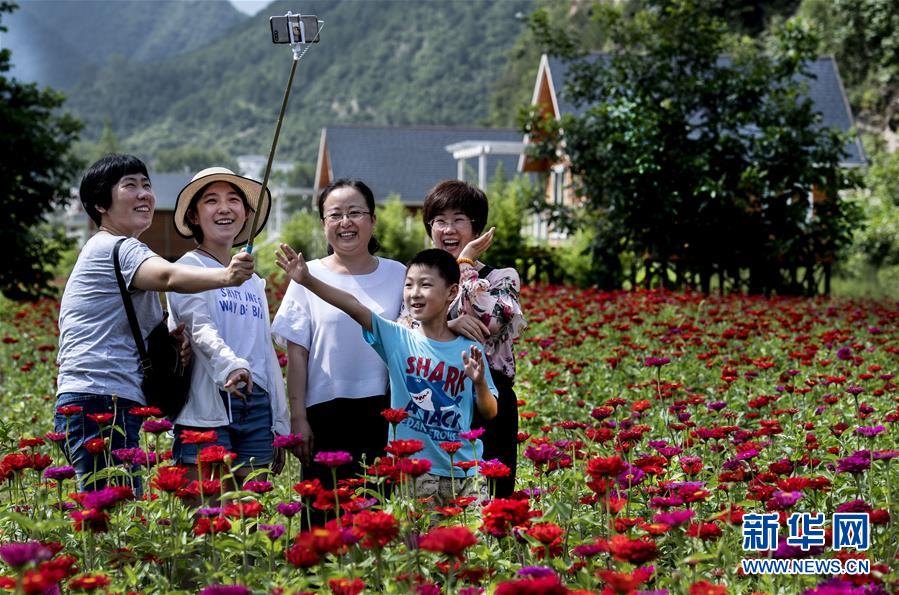 陜西洛南：鮮花木屋惹人醉