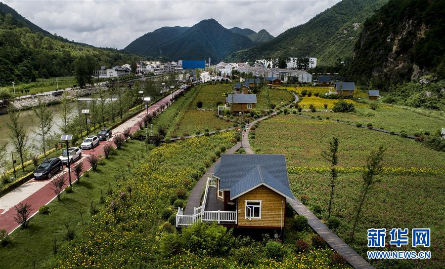 陜西洛南：鮮花木屋惹人醉