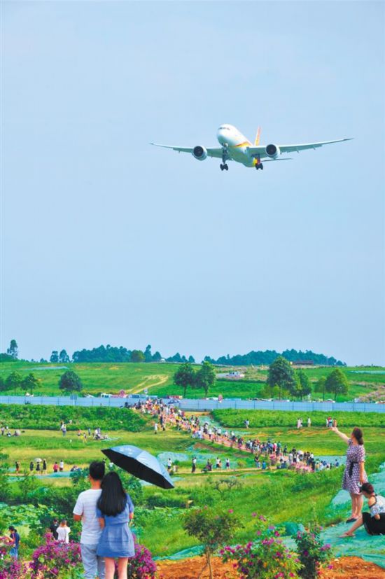 四川成都：賞格桑花海 觀壯闊航域