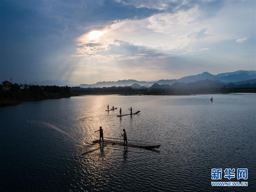 千島湖開漁展現“水清魚歡”美麗生態