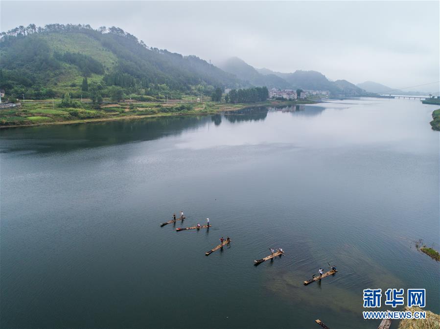 千島湖開漁展現“水清魚歡”美麗生態