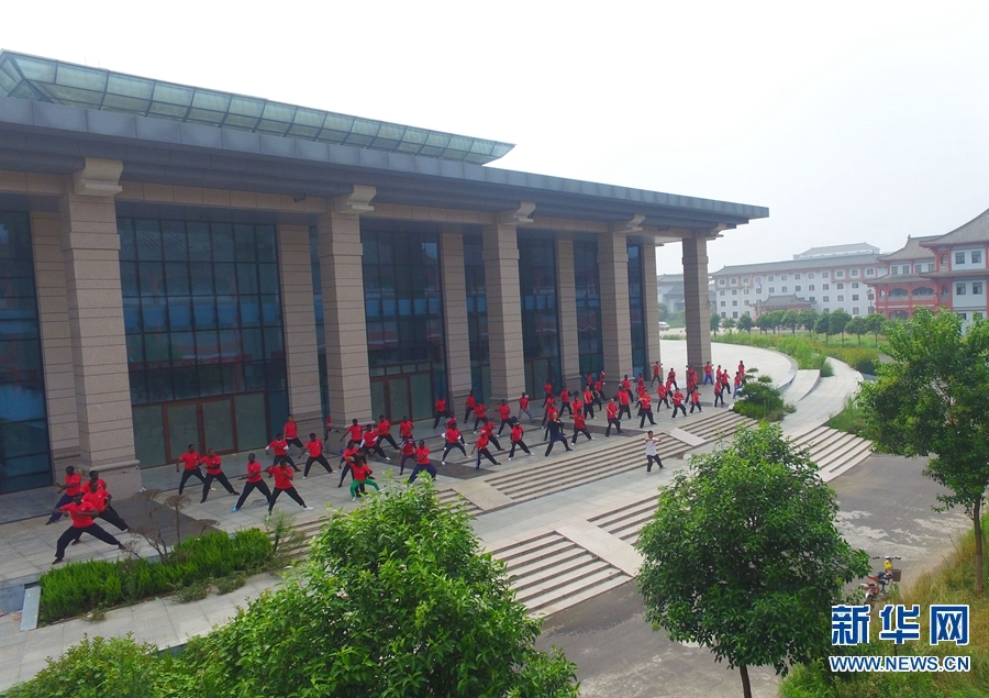 河南溫縣：“洋弟子”走進陳家溝 體驗太極文化魅力