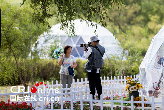 遊客在長春蓮花山葵花園拍照。_fororder_遊客在長春蓮花山葵花園拍照。