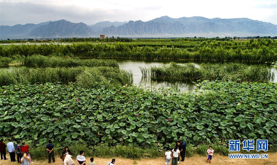 山西廣靈：壺流河濕地 江南風韻