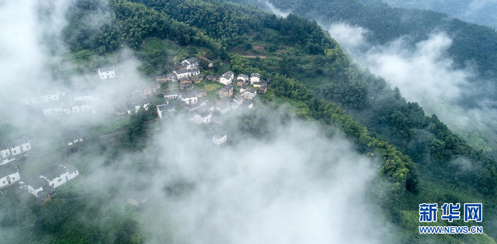 安徽皖南航拍：竹林古樹滿山崖 雲海深處有人家