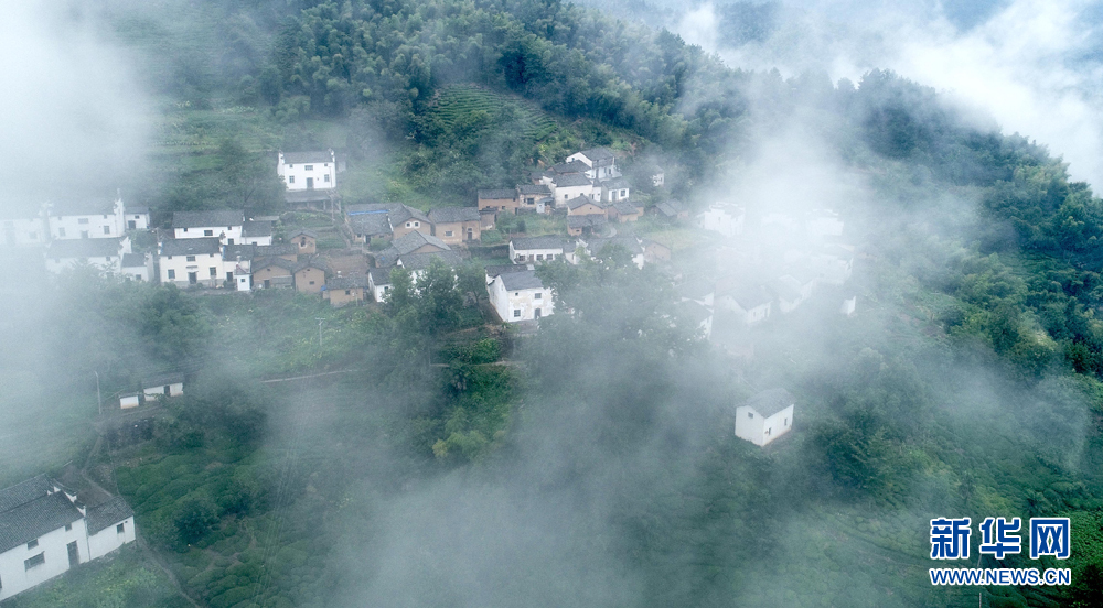 安徽皖南航拍：竹林古樹滿山崖 雲海深處有人家