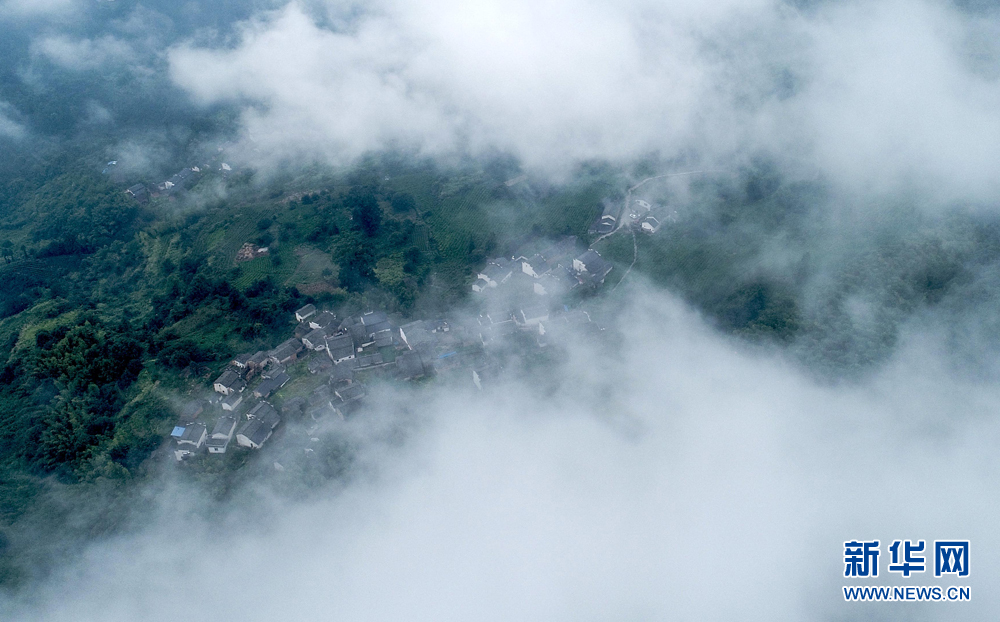 安徽皖南航拍：竹林古樹滿山崖 雲海深處有人家