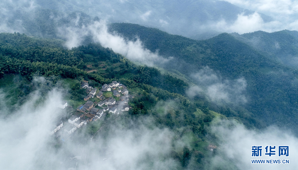 安徽皖南航拍：竹林古樹滿山崖 雲海深處有人家