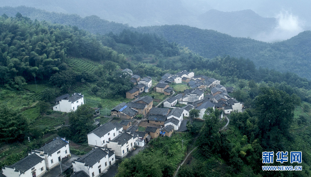 安徽皖南航拍：竹林古樹滿山崖 雲海深處有人家