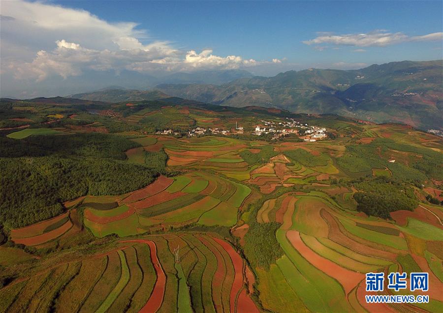 雲南：飛越東川紅土地