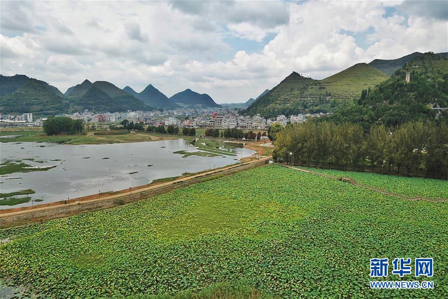 貴州黔西南：招堤十里荷塘景色美