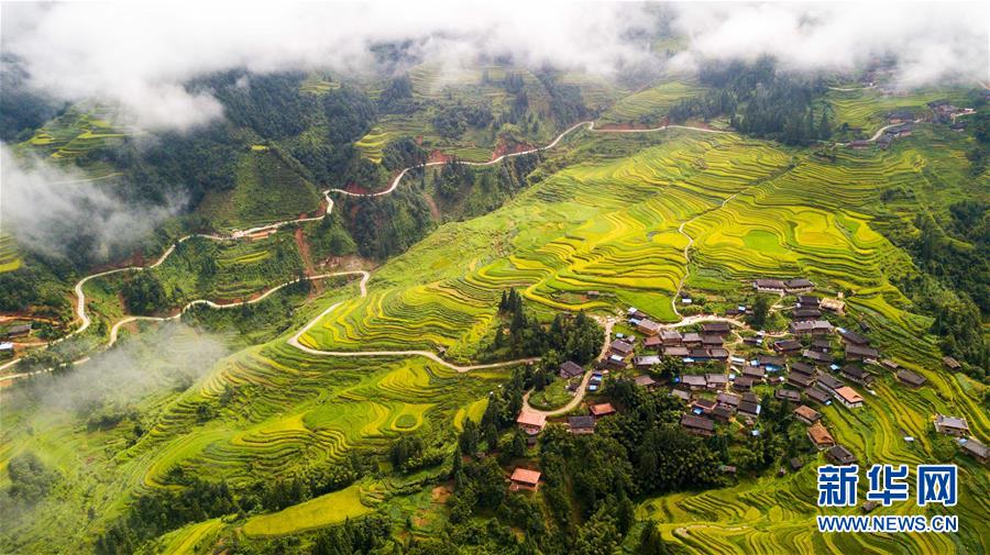 貴州：秋到山鄉 豐收在望