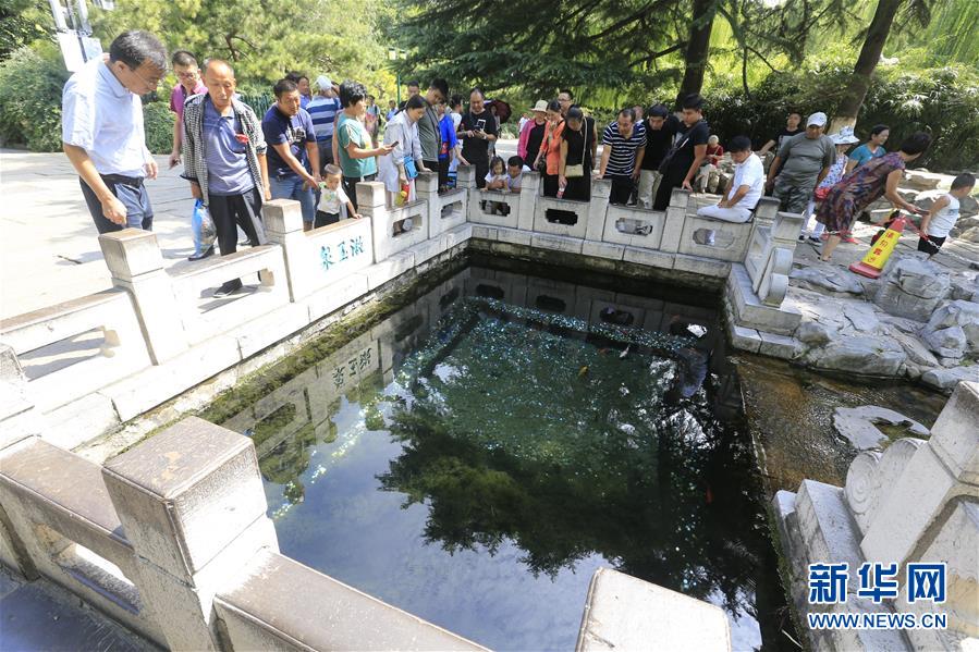 濟南迎來泉水復涌15週年