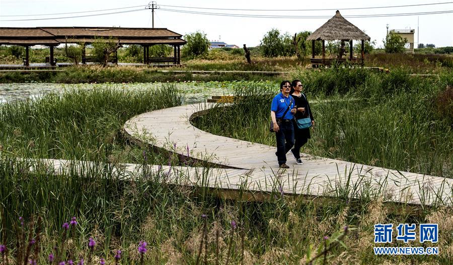 甘肅張掖國家濕地公園：戈壁水鄉似江南