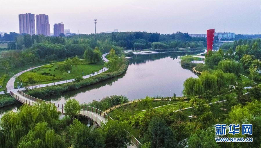 河北棗強：廢棄污水坑塘變身生態公園