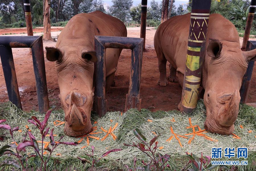 動物樂享“定制月餅”