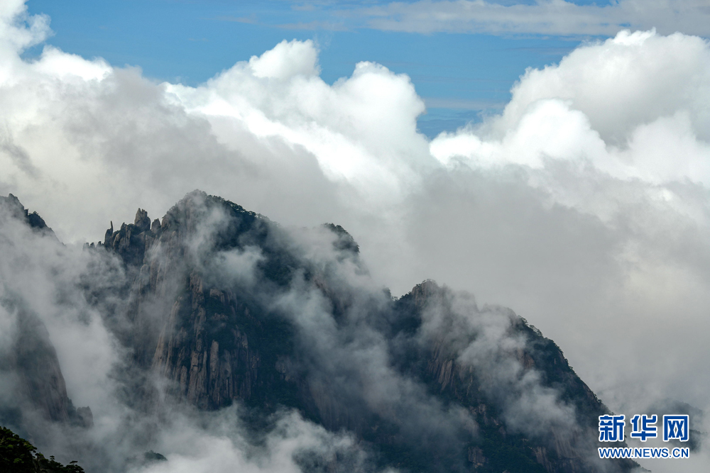 安徽黃山：雨去風來雲海現 萬壑群峰峭雲煙