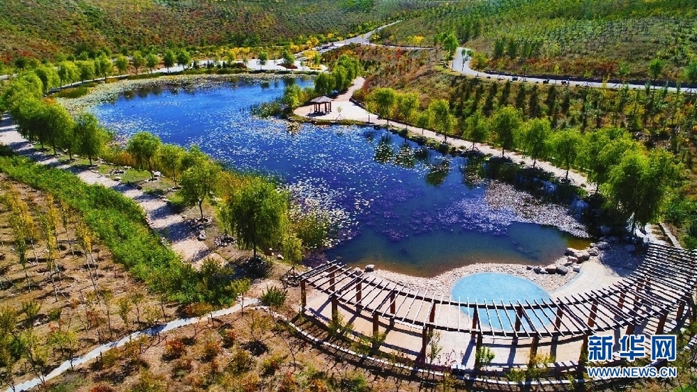 內蒙古呼和浩特：“沙坑公園”五彩斑斕耀金秋