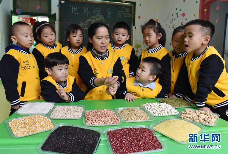 安徽：學農識 惜糧食