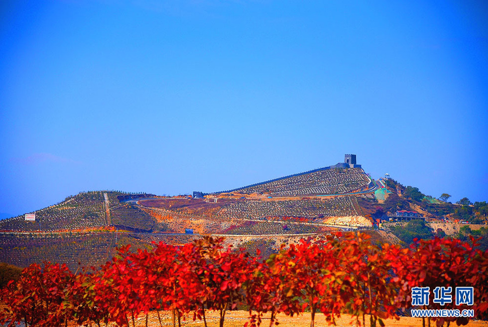 河北涉縣：莊子嶺遍山紅葉迎遊客