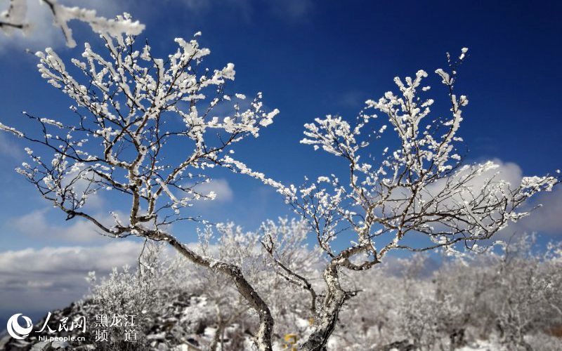 黑龍江鳳凰山國家森林公園現十里雪凇霧凇景觀