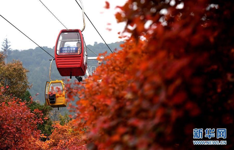 京城西山秋色濃