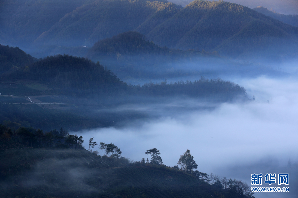 安徽黃山：青山隱隱雲迢迢 半坡山居半坡秋