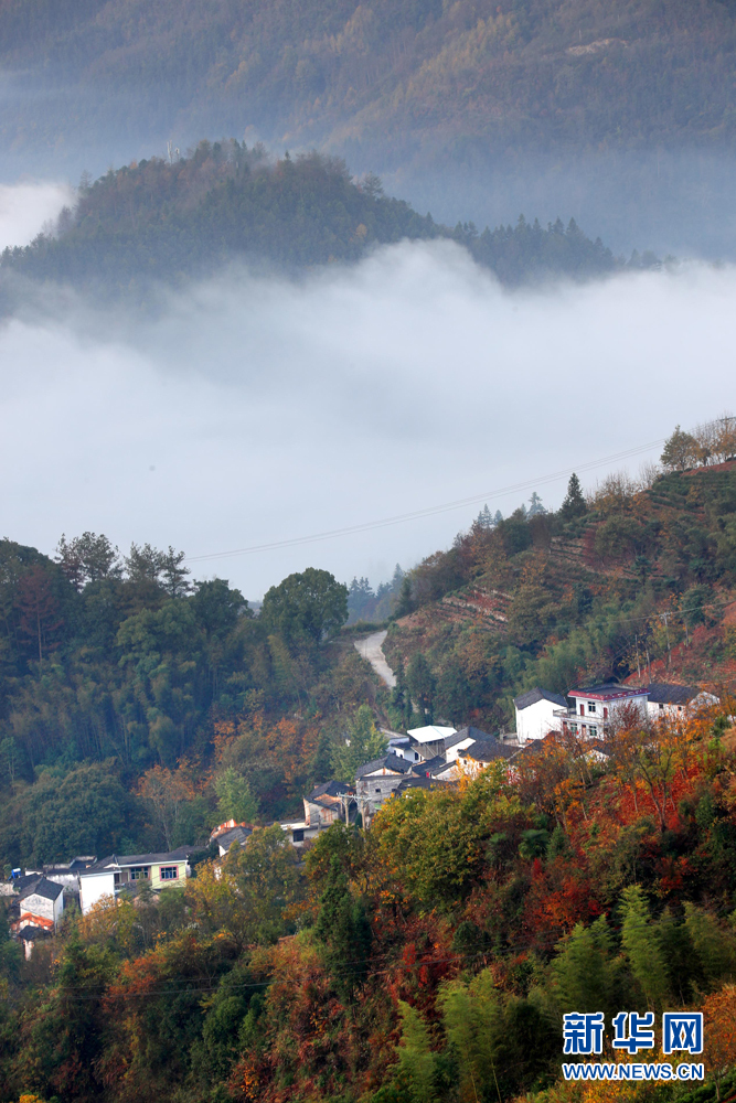 安徽黃山：青山隱隱雲迢迢 半坡山居半坡秋