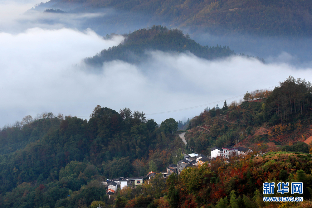 安徽黃山：青山隱隱雲迢迢 半坡山居半坡秋