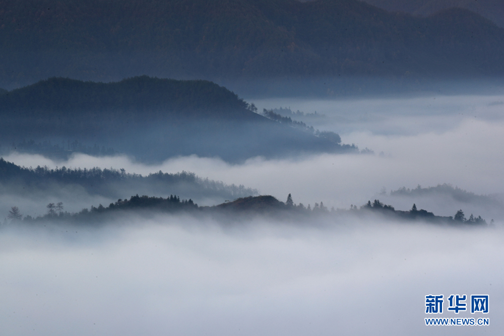 安徽黃山：青山隱隱雲迢迢 半坡山居半坡秋