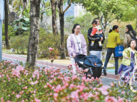 福州琴亭湖公園近3萬株杜鵑花提前綻放