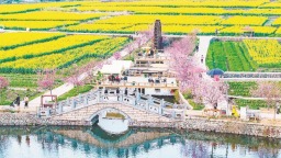 莆田涵江坪盤村：油菜花迎來最佳觀賞季