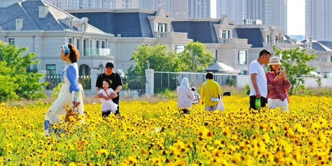 大連：盛夏花開遊人醉