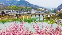 重慶黔江：千年古鎮春意濃