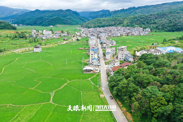2024年“十大最美農村路”名單公佈  貴州這條公路入選