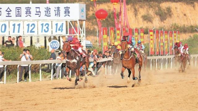 解碼貴州“村字號”IP：馬蹄四揚春潮生 “村馬”跑出加速度