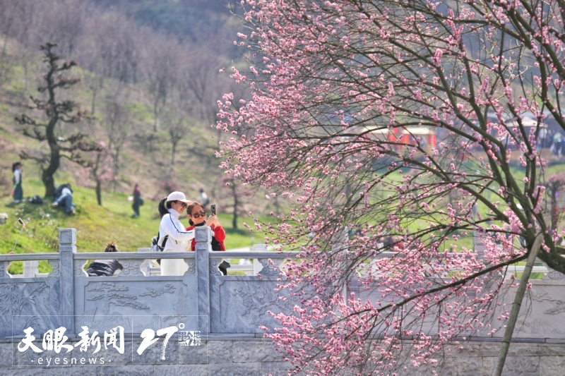 春花爛漫｜解鎖貴州旅遊新“花”樣_fororder_17428649267059