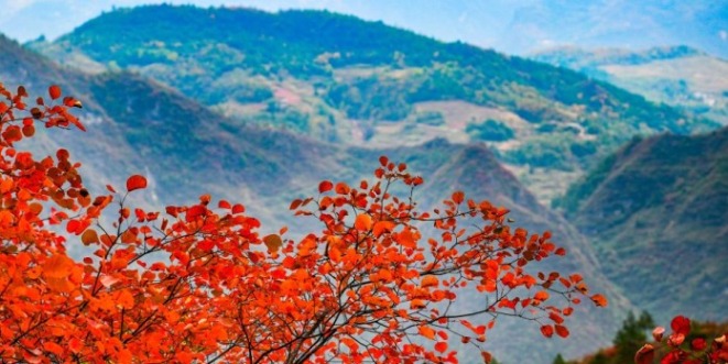 重慶巫山：初冬美景引客來