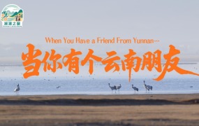 【瀾湄之窗】短視頻宣傳片①：當你有個雲南朋友
