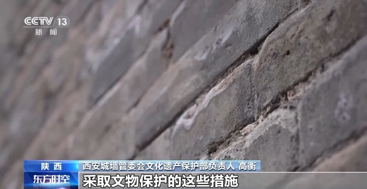 為文化遺産上“數字保險” 千年藝術在虛擬世界獲得永生
